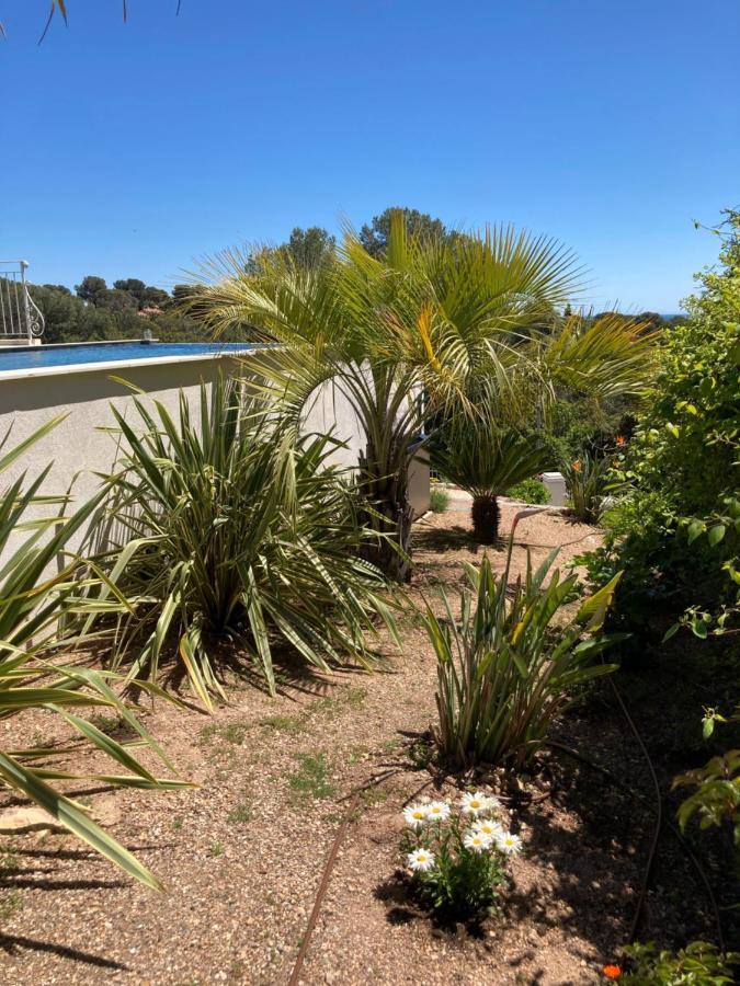 Villa Du Belvedere - La Chambre Mer Saint-Raphaël Buitenkant foto